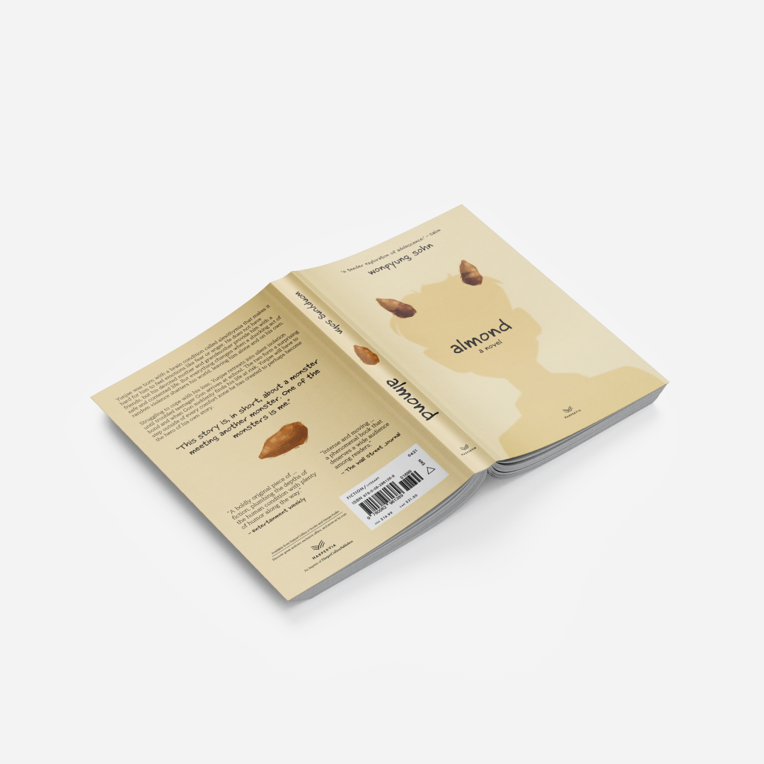 Book cover design project for Visual Design & Computation